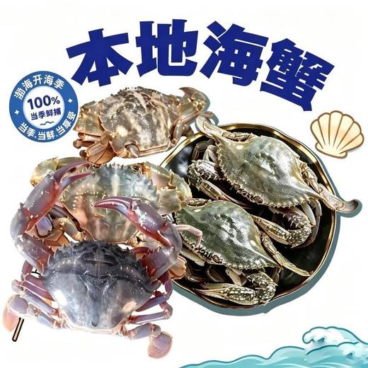 【鲜活】本地海蟹（1000±50g)（种类随机：海叉子，红夹子，花盖） 商品图0