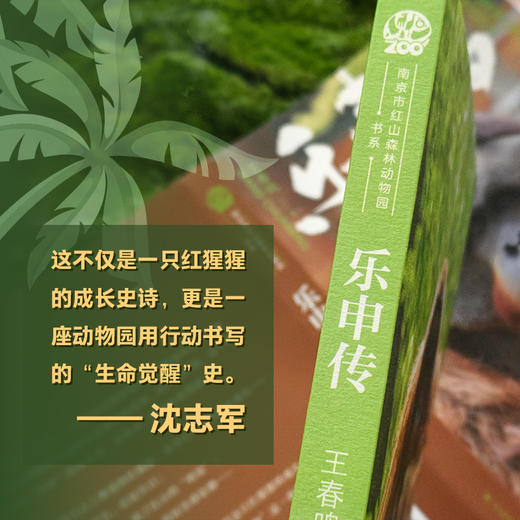 【朱赢椿➕王春鸣双签】乐申传 商品图4