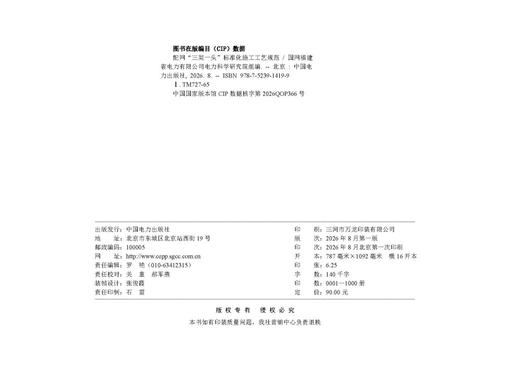 配网“三架一头”标准化施工工艺规范 商品图3