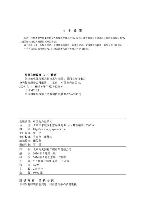 架空输电线路无人机技术与应用 商品图3