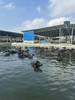 『水牛满满5.0水牛纯牛奶』热卖3000+5.0g优质蛋白+162mg原生高钙孩子成长能量站 珍贵的娟姗牛奶奶源+槟榔江水牛奶源高钙高蛋白温和易吸收肠胃零负担125ml/200ml 商品缩略图5