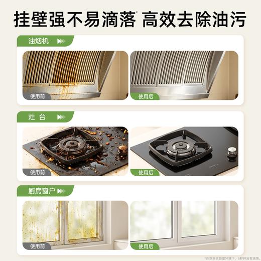 【安全配方 清洁省力】净狮 植萃型重油污清洁剂 植萃配方 高效去除油污 510ml/瓶 商品图1
