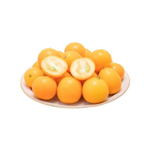 阳朔金桔（500±30g） 商品图1