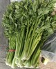 【YC】新鲜芹菜  石家庄  大河市场 商品缩略图0