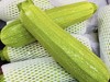 【YC】西葫芦  石家庄  大河市场 商品缩略图0