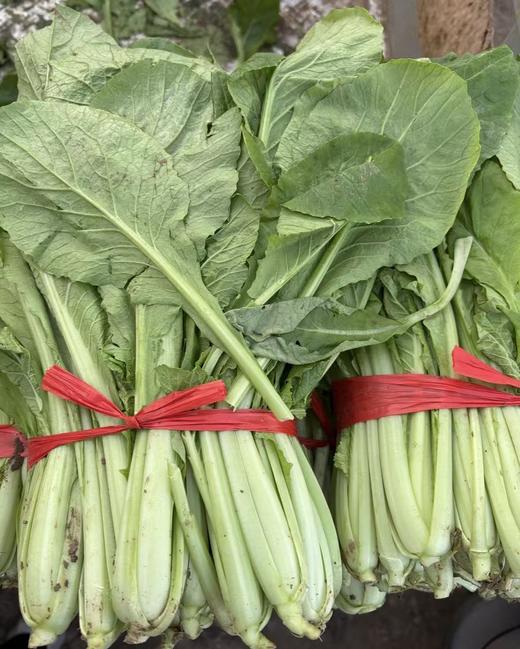 【YC】新鲜小白菜   石家庄  大河市场 商品图1