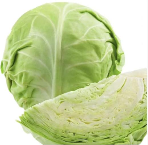 【YC】新鲜绿甘蓝 石家庄 大河市场 商品图0