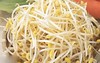 【YC】黄豆芽  石家庄  大河市场 商品缩略图0