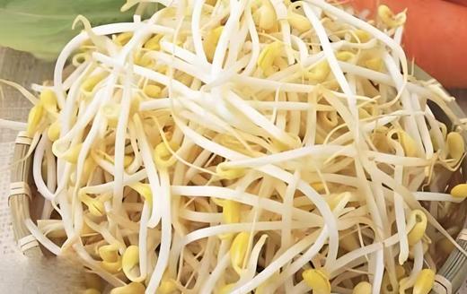 【YC】黄豆芽  石家庄  大河市场 商品图0