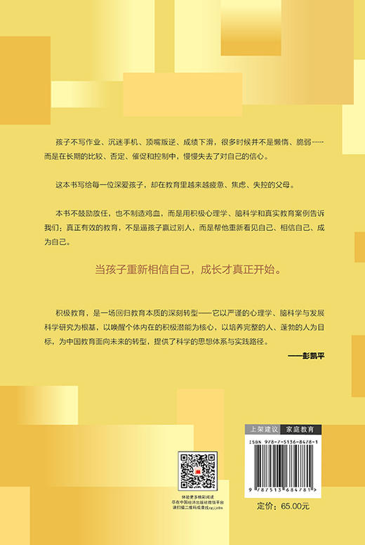 积极教育：唤醒孩子自驱力与韧性的养育革命 商品图1