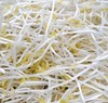 【YC】绿豆芽  石家庄  大河市场 商品缩略图0