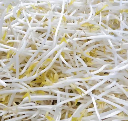 【YC】绿豆芽  石家庄  大河市场 商品图0