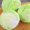 【YC】新鲜洋白菜  石家庄  大河市场 商品缩略图1