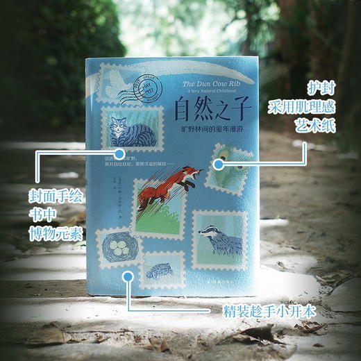 自然之子：旷野林间的童年漫游 商品图2