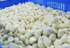 【YC】去皮蒜  石家庄  大河市场 商品缩略图1