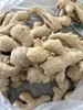 【YC】生姜  石家庄  大河市场 商品缩略图1