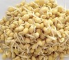 【YC】黄豆嘴  石家庄  大河市场 商品缩略图1