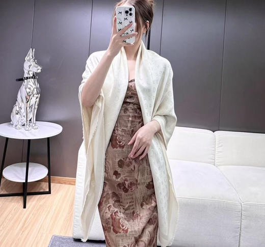 秋冬特惠💰320 六色到货 LV围巾 品质超好的 商品图1