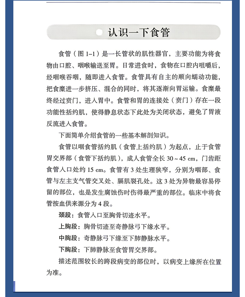 外科6_08.jpg