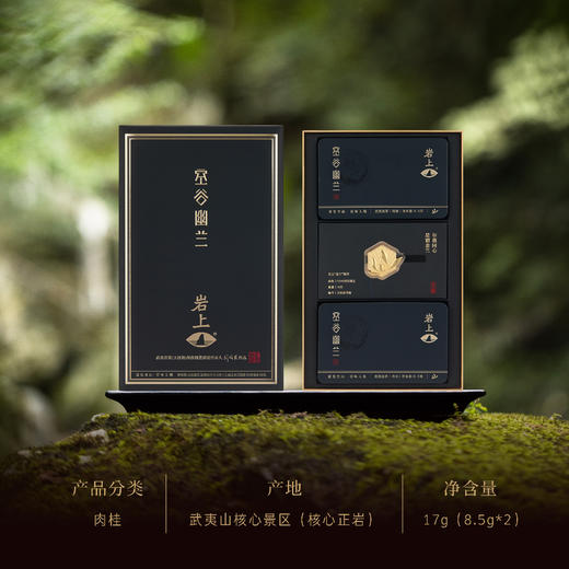 岩上 | 空山·空谷幽兰 | 17g（8.5gx2泡） 商品图1