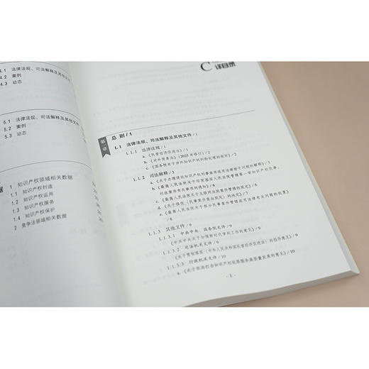 中国知识产权发展报告2025   张广良 主编  法律出版社 商品图3