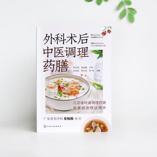 外科术后中医调理药膳 商品图3