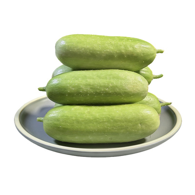 山东蔬菜组合（奶油黄瓜+韭菜）1.75kg