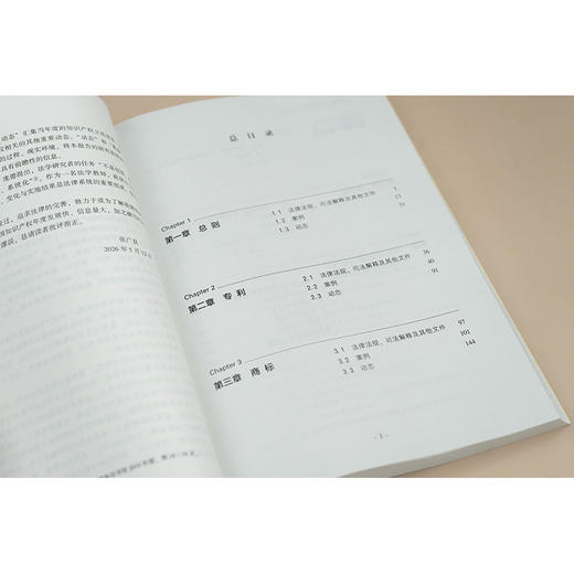 中国知识产权发展报告2025   张广良 主编  法律出版社 商品图4