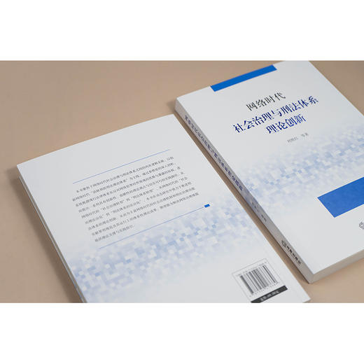 网络时代社会治理与刑法体系理论创新 刘艳红 等著 法律出版社 商品图5
