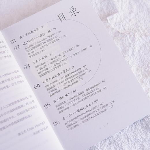 神之一手 AI纪元前夜 樊麾AlphaGO对战 商品图3