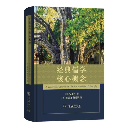 经典儒学核心概念 商品图0