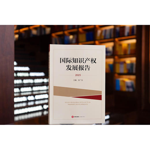 国际知识产权发展报告2025   张广良 主编   法律出版社 商品图0