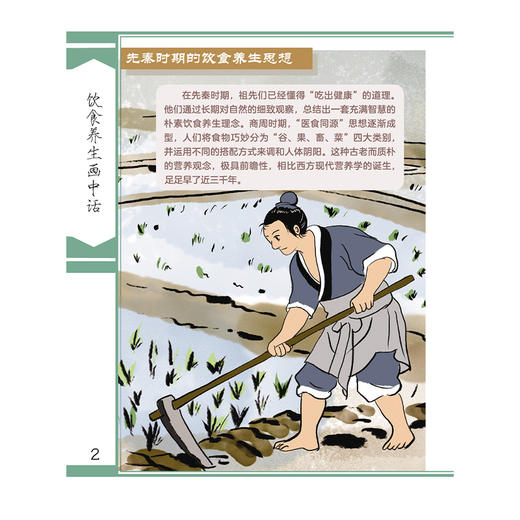饮食养生画中话 中医药养生文化画中话丛书 庞国明 翟纪功 刘羽 主编 饮食养生的特点和作用等内容 9787524703761中国中医药出版社 商品图4