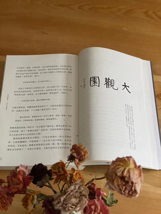 入世与离尘：一块石头的游记 王博 著 三联书店 商品图4