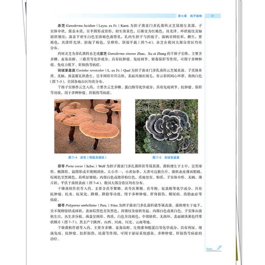 药用植物学 曾令杰 朱丹 全国高等医药教育十五五规划教材 供药学 中药学 临床药学 药物制剂 药物化学等专业用 中国中医药出版社 商品图4