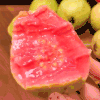热卖中！送酸梅粉！【京东发货】广东澄海草莓芭乐/奶油芭乐 树熟精品大果 高维C低热量 现摘现发 商品缩略图0
