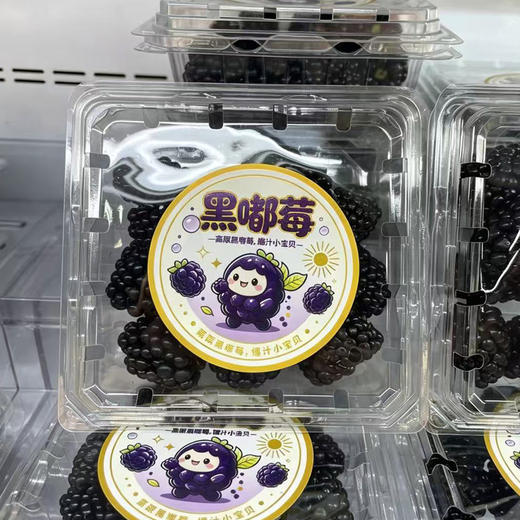 黑树莓礼盒（125g*12） 商品图1
