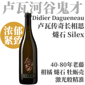 【仅5支·酒庄权威旗舰“燧石”长相思】2023 迪尔达格纳古堡燧石干白  Domaine Didier Dagueneau, Silex