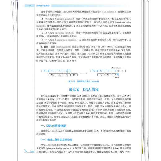 药学分子生物学 宋永波 郑斌 全国高等医药教育十五五规划教材 供临床医学 药学 生物制药 生物工程等专业用 中国中医药出版社 商品图4