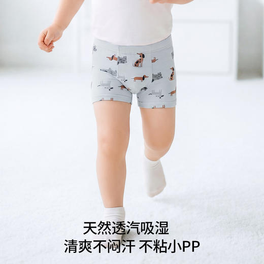 【婴童服配】嫚熙儿童内裤10A抗菌男女童四角短裤透气平角裤1条装 商品图1