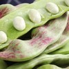 东北油豆(450±30g)豆角 商品缩略图4