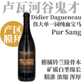 【饱满深邃精准有力·卢瓦河谷不世出长相思“纯血宝马”】2023 迪尔达格纳古堡普桑干白 Domaine Didier Dagueneau, Pur Sang