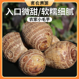 密云农家新鲜小芋头1斤  香甜细腻  绵软糯香