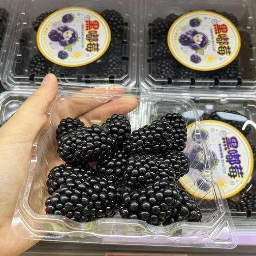 黑树莓礼盒（125g*12） 商品图2