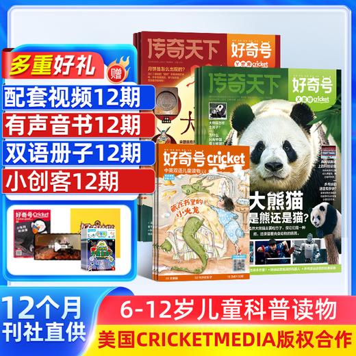 好奇号+阳光少年报  杂志1年订阅（一月一发）6-12岁 商品图0