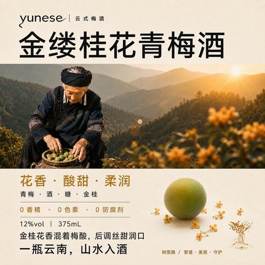 【醇和温润 甘醇清冽】yunese梅酒 赴一场云南山野之约 一口解锁松弛微醺 商品图5