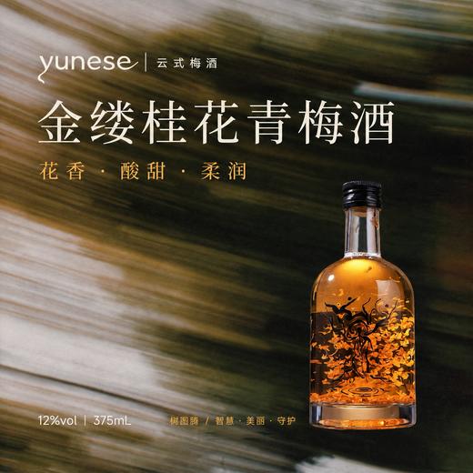 【醇和温润 甘醇清冽】yunese梅酒 赴一场云南山野之约 一口解锁松弛微醺 商品图6