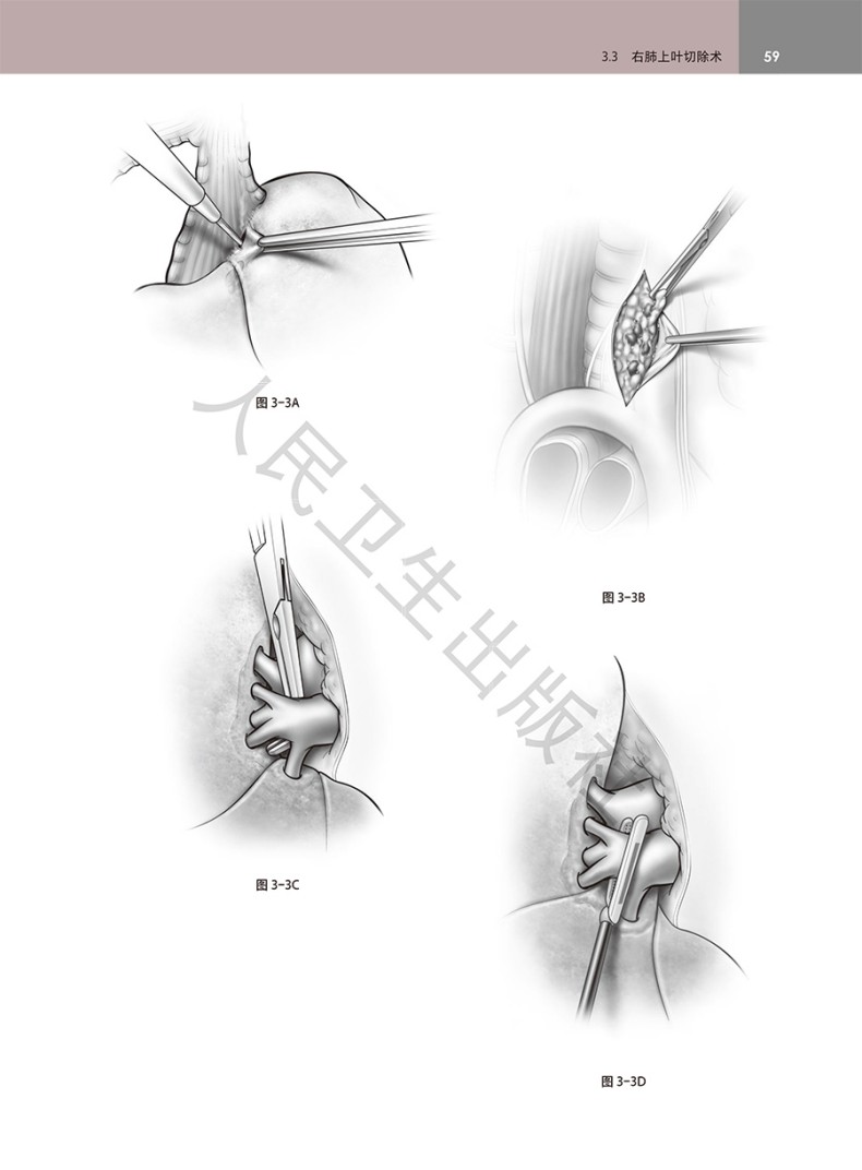 9787117397568(yz) (4).jpg