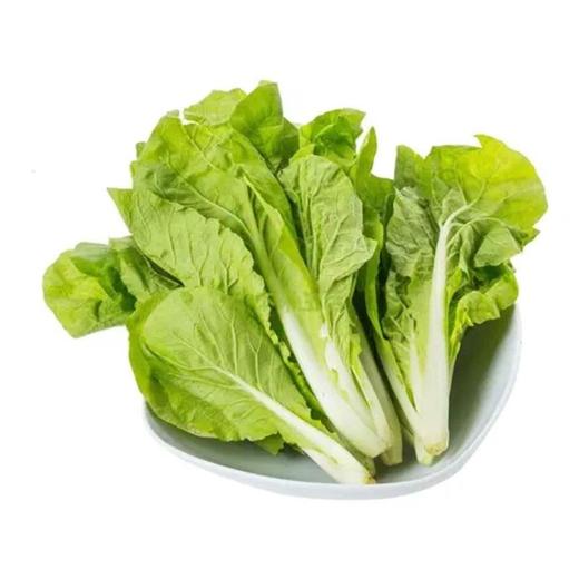 小白菜（精包）（450±30g) 商品图0