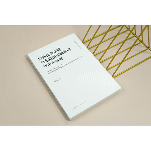 国际投资法院对东道国规制权的作用和影响 刘晓华 著 法律出版社 商品图4
